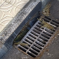 Denuncian el “lamentable” estado de las alcantarillas y sumideros de Cáceres