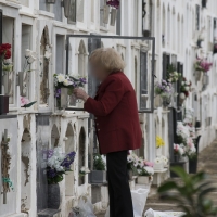 Obras para construir 118 nichos nuevos en el cementerio cacereño