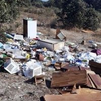 Quejas por la suciedad en las calles de Navalmoral de la Mata