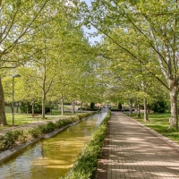 CxC propone mejorar las zonas de esparcimiento de los animales en los parques y jardines