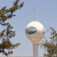 Podrían autorizar la dosis de refuerzo de Pfizer para adultos esta semana