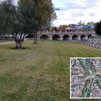 Siembra de árboles para escenificar la convivencia educativa en Badajoz