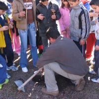 Promueven actividades de reforestación entre los centros educativos extremeños