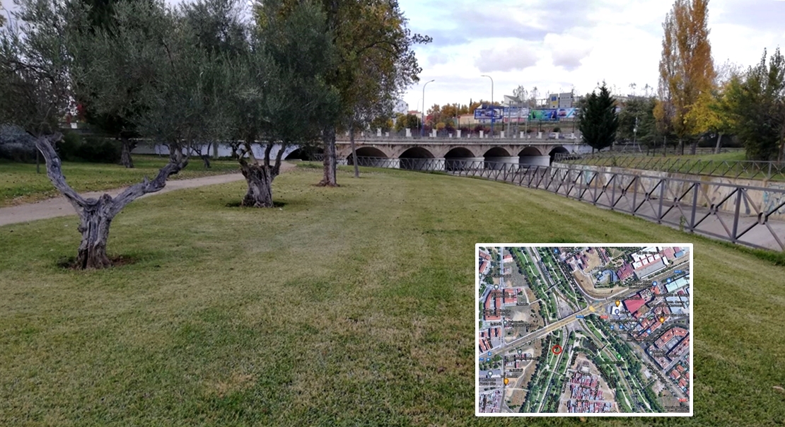 Siembra de árboles para escenificar la convivencia educativa en Badajoz