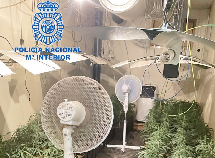 Un fuerte olor a marihuana destapa una plantación indoor en Almendralejo