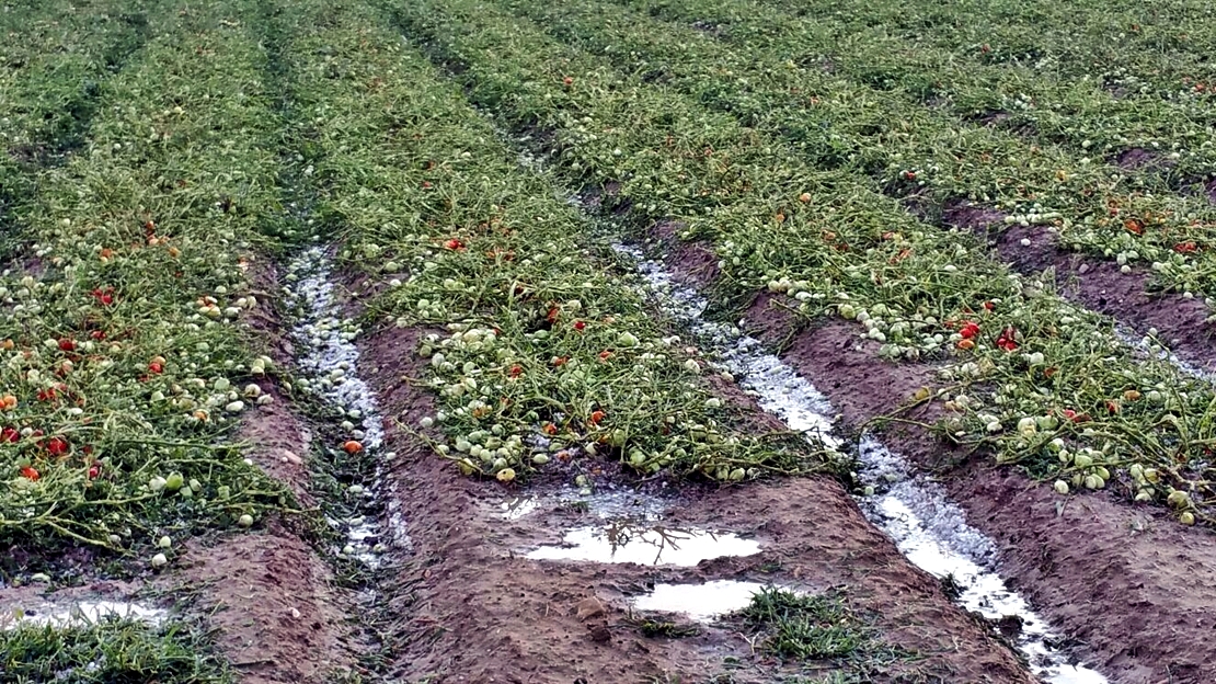Daños tormentas Extremadura: Agroseguro abona 8 millones de euros en indemnizaciones