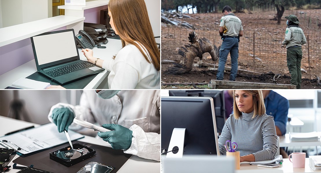 Convocadas 871 plazas de funcionarios y de personal laboral en Extremadura