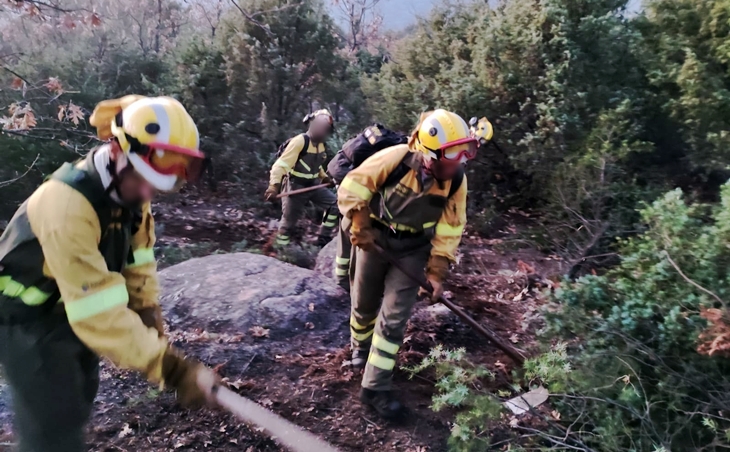 Casi controlado el incendio forestal declarado en La Vera