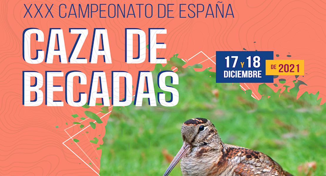 El nuevo campeón de España de Caza de Becadas se decidirá en Hervás