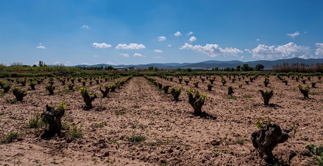 En riesgo la masa de agua subterránea de Tierra de Barros