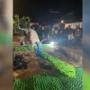 Palazuelo adorna sus calles con material reciclado durante la Navidad