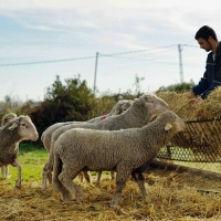 El DOE publica la subsanación en las ayudas a la creación de empresas para Jóvenes agricultores