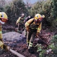 Casi controlado el incendio forestal declarado en La Vera