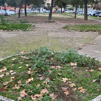 PSOE Badajoz: "El parque sin nombre, no existe para el ayuntamiento"