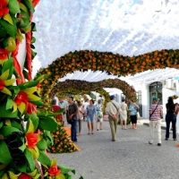 Las &#39;Fiestas del Pueblo&#39; de Campo Maior ya son Patrimonio de la Humanidad