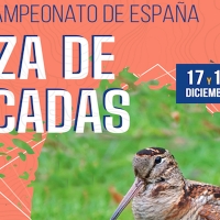 El nuevo campeón de España de Caza de Becadas se decidirá en Hervás