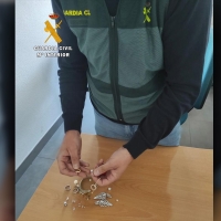 Detenida una pareja por robar joyas en una vivienda de Cáceres