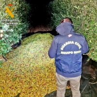 Investigados dos extremeños por robar en 5 explotaciones de Almendralejo