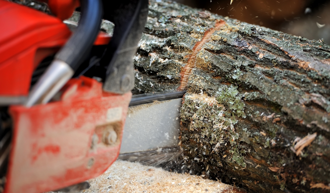 Accidente laboral en Extremadura: grave tras sufrir un corte con una motosierra