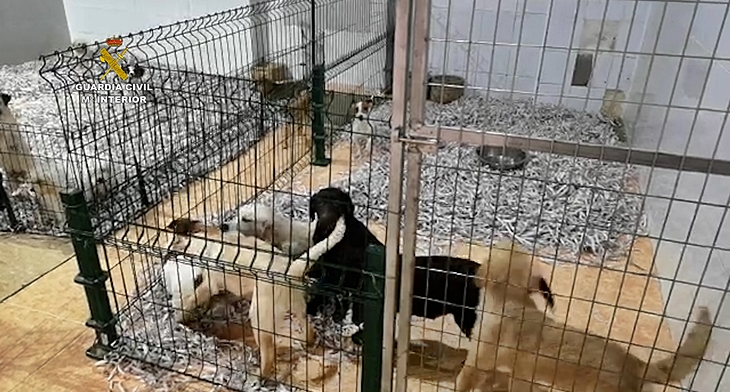 La Guardia Civil interviene más de 20 perros en malas condiciones en una empresa