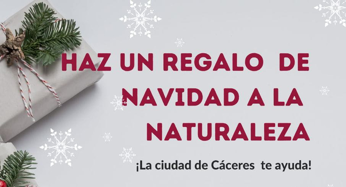 Campaña en Cáceres para evitar que los árboles de Navidad acaben en el vertedero