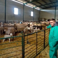 1,5 millones € para mantener sana la cabaña ganadera y apícola extremeña