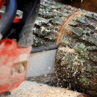 Accidente laboral en Extremadura: grave tras sufrir un corte con una motosierra