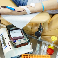 EXTREMADURA - Localidades y horarios por donde pasará el Banco de Sangre en enero