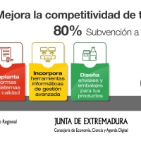 Convocatoria abierta de las ayudas para la mejora competitiva de la pyme extremeña para 2022