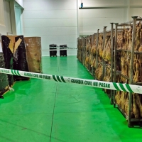 Entramado empresarial en Extremadura: comercializan productos ibéricos de forma fraudulenta