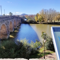 La CHG detecta la presencia de cotorras argentinas en el parque fluvial de Mérida