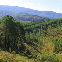 ‘Naturalmente Cáceres’ continúa dando a conocer el patrimonio natural