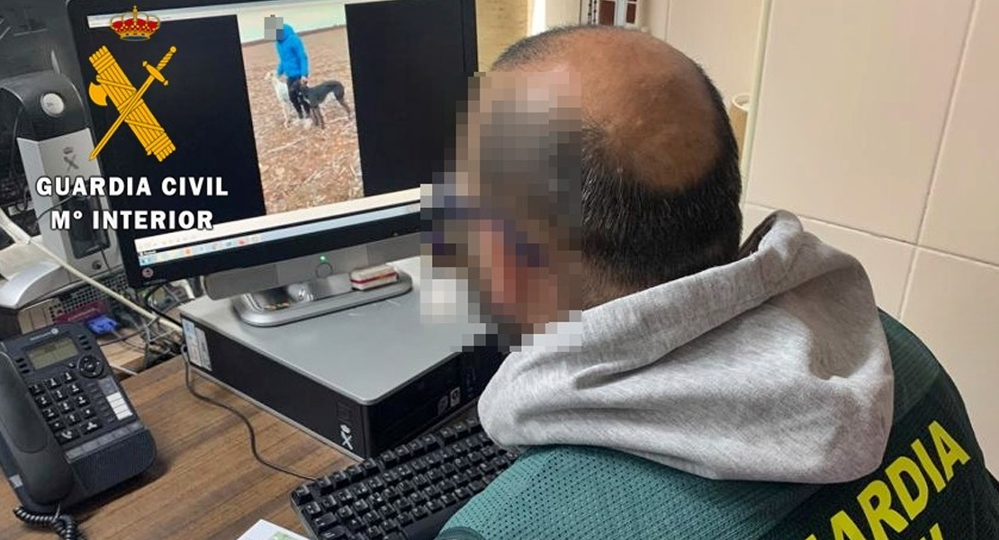 Cuatro investigados por caza furtiva con galgo en las Vegas Altas de Extremadura