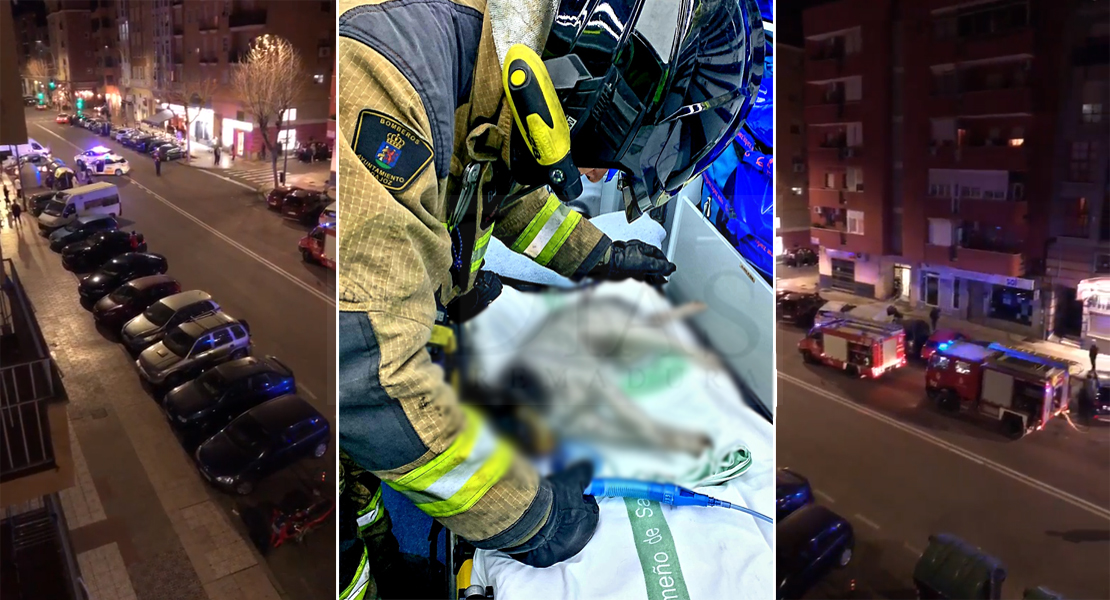 Los bomberos salvan la vida a varios perros atrapados en un incendio en San Roque (Badajoz)