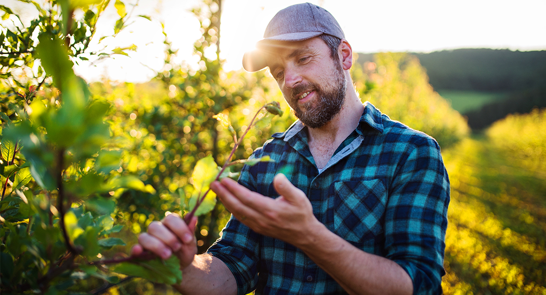 Oportunidad única para encabezar la revolución agroalimentaria en Extremadura según CxC