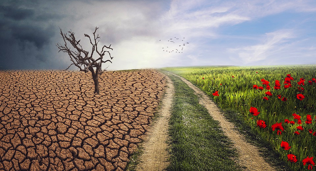 OPINIÓN: Urge una ley de emergencia climática en Extremadura