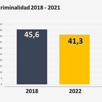 España registra en 2021 la tasa de criminalidad más baja de la serie histórica