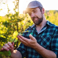 Oportunidad única para encabezar la revolución agroalimentaria en Extremadura según CxC