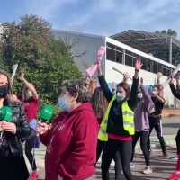Balumba lucha por el carnaval gracias a Baldo