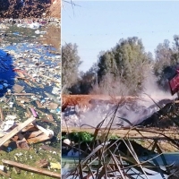 ¿Está produciéndose una catástrofe natural en el río Guadiana?