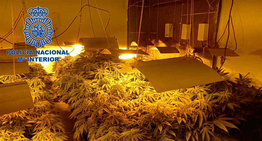 La Policía Nacional detiene a los responsables de dos plantaciones “indoor” de marihuana