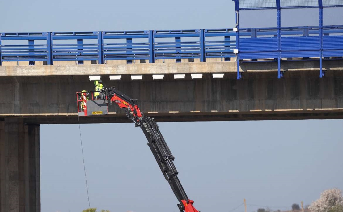 Instalan cajas nido y reclamos de vencejo real en el Puente de la Autovía A5