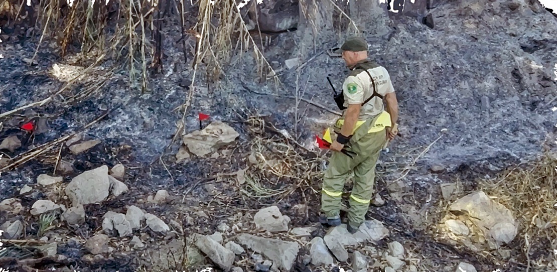 SGTEX: &quot;La Junta no cumple con la prevención de riesgos laborales de los agentes del medio natural”