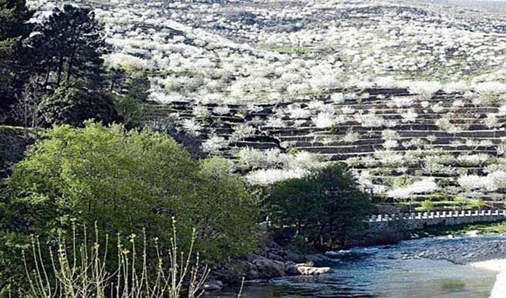 Extremadura, Asturias y Andalucía: destinos rurales favoritos de los extremeños