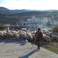 Subvenciones para promover la incorporación laboral de la mujer en el medio rural