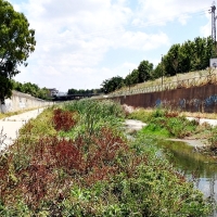 Solución para los malos olores del Rivillas en Badajoz