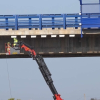 Instalan cajas nido y reclamos de vencejo real en el Puente de la Autovía A5