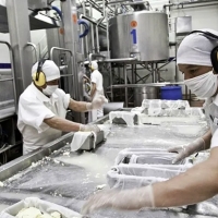 Crisis Ucrania: UPA pide a Europa garantizar la producción de alimentos