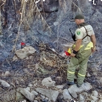 SGTEX: &quot;La Junta no cumple con la prevención de riesgos laborales de los agentes del medio natural”