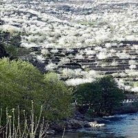 Extremadura, Asturias y Andalucía: destinos rurales favoritos de los extremeños